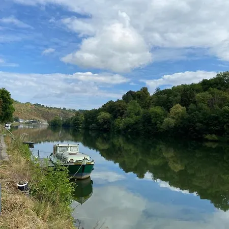 Chelonia Mydas Nyaraló Hastière-par-delà