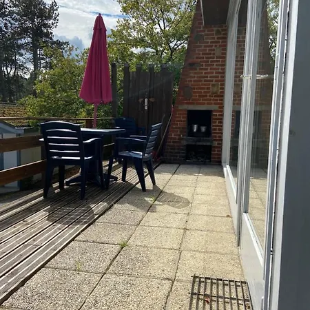 Chelonia Mydas Nyaraló Hastière-par-delà