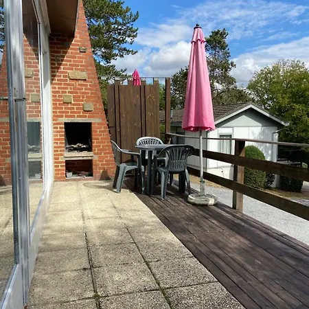 Nyaraló Chelonia Mydas