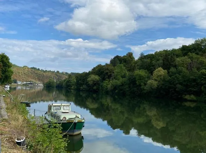 Chelonia Mydas Nyaraló Hastière-par-delà