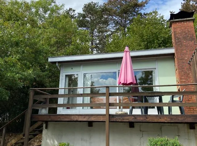 Chelonia Mydas Hastière-par-delà